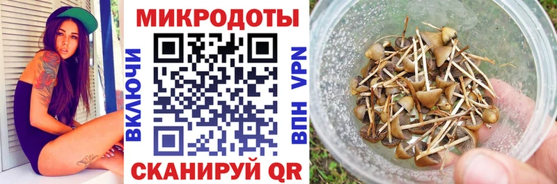 ссылка на мегу маркетплейс  Балаково  Псилоцибиновые грибы MAGIC MUSHROOMS 